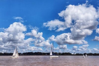 Private Boat Tour to Rio de la Plata and Delta El Tigre with Wine on Board - The Delta El Tigre stop: empanadas, wildlife, and narrow-water calm