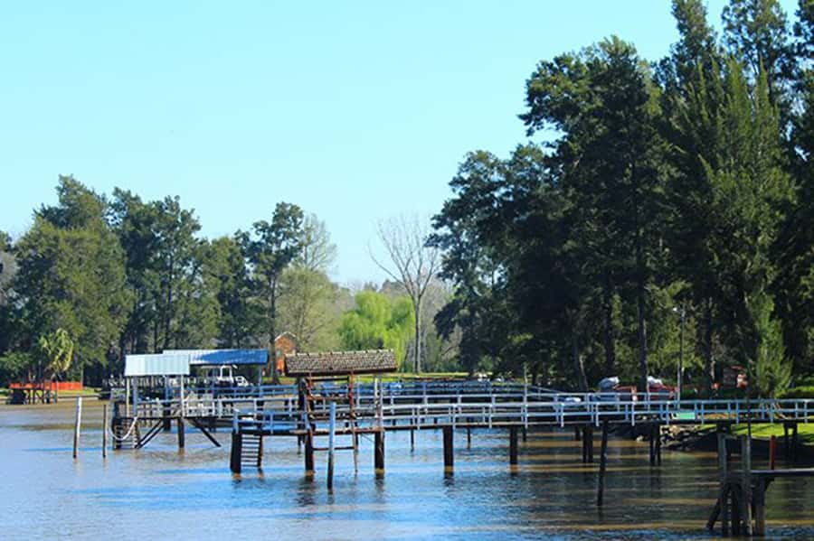 Tigre: River Delta Panoramic Boat Tour - Audioguide on the loudspeaker: the good and the annoying