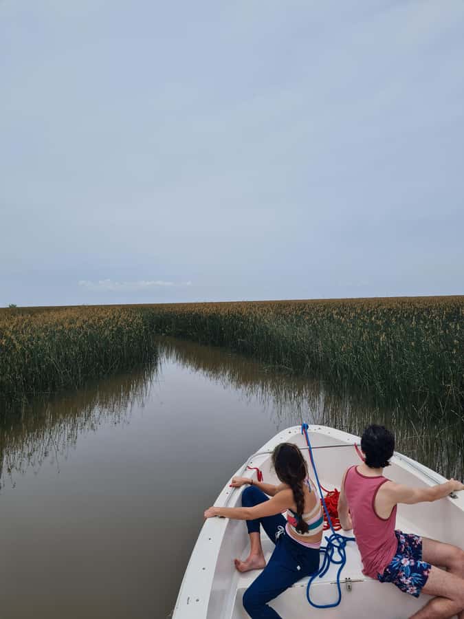 Tigre: Safari Náutico en Tigre/ Biosphere Reserve Boat Tour - Key points to know before you go