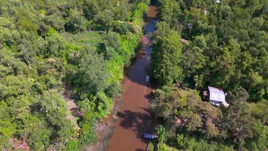 Tigre: Safari Náutico en Tigre/ Biosphere Reserve Boat Tour - Why a Tigre Delta boat day beats a city-only plan