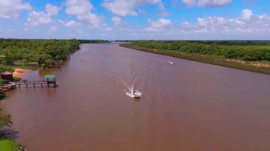 Tigre: Safari Náutico en Tigre/ Biosphere Reserve Boat Tour - 270 minutes on the water: what your day feels like, stop by stop