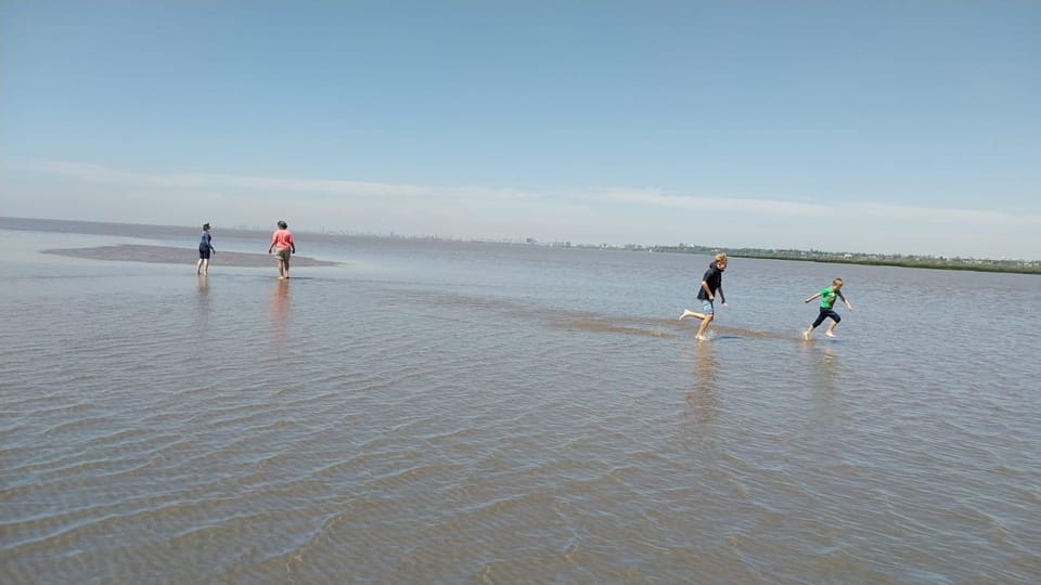 Tigre: Safari Náutico en Tigre/ Biosphere Reserve Boat Tour - Wildlife and wetlands education: what you’ll actually notice