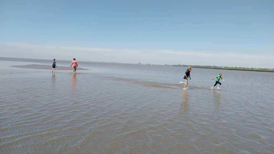 Tigre: Safari Náutico en Tigre/ Biosphere Reserve Boat Tour - Culture and history beyond the water: what the stops add