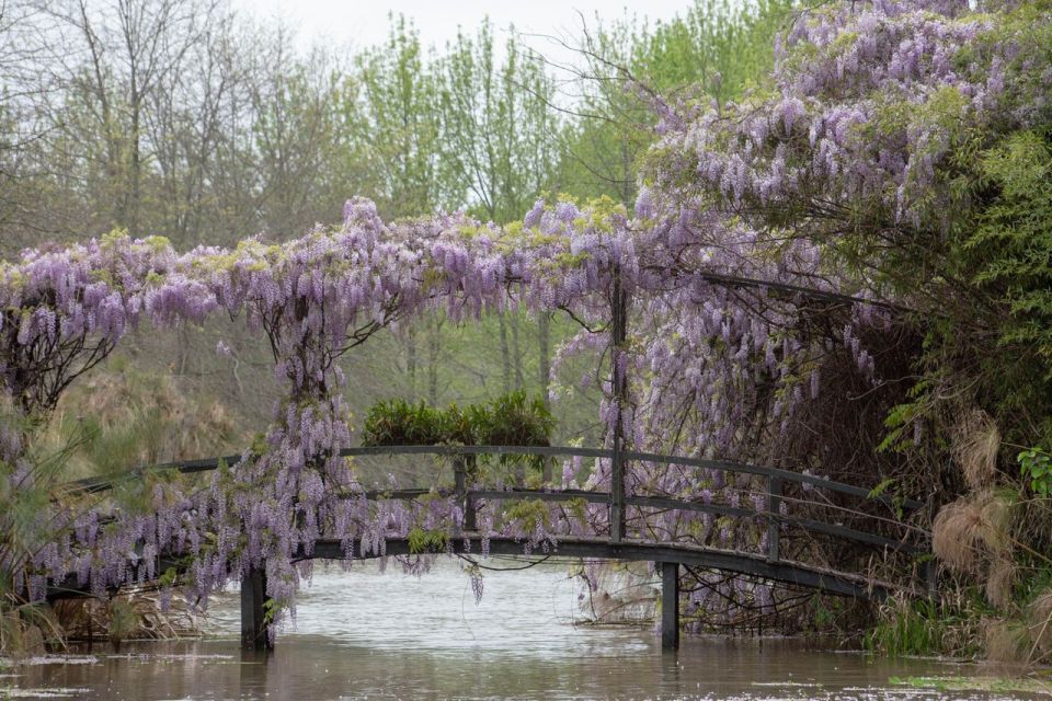 Tigre: sailing and hiking around El Descanso Island - Isla El Descanso: gardens, bridges, canals, and a real walking tour