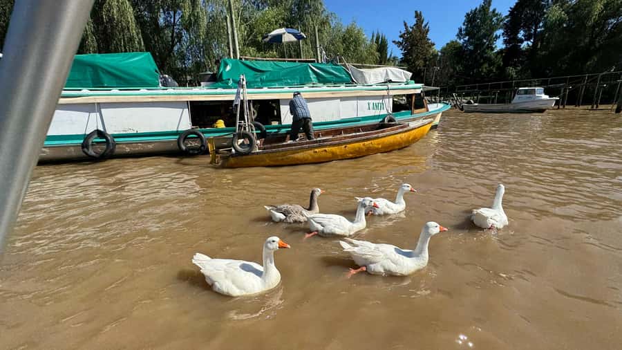Unique Tigre and Delta Private Day Cruise Navegation - San Isidro Cathedral first, then straight to the Delta